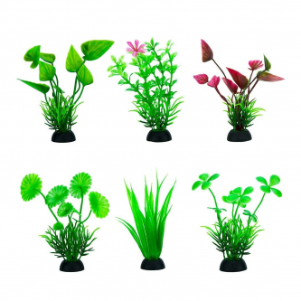 PLANTA PARA ACUARIO BOLSA 20 CM - 6 PZ