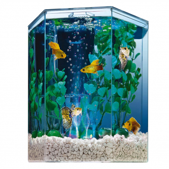 PECERA HEXAGONAL PEQUEÑA