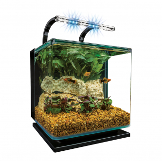 KIT DE ACUARIO CON LUZ, ALMOHADILLA DE ESPUMA, 11 LITROS